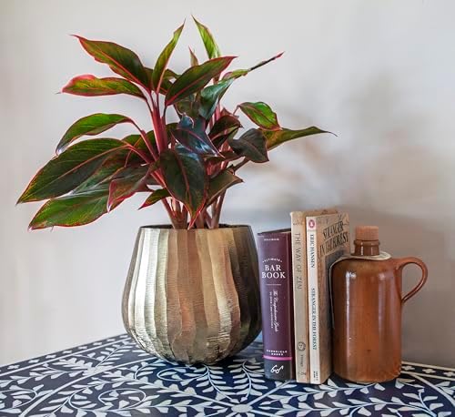 Brass Hammered Planter for Plants and Succulents - Modern, Vintage, Mid-Century Modern - Gold Colored Decorative Round Metal Flower Pot Holder for Living Room, Kitchen, Office - Image 4