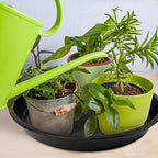OUPSAUI 5 Pack 4 10 12 14 16 18 20 22 Inch Plant Saucer, Plant Trays for Pots, Large Plastic Plant Saucers for Indoors, No Holes Planter Drip Tray (16inch) - Image 4