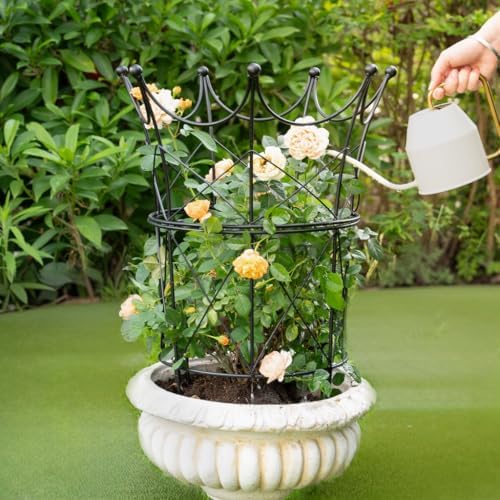 Peony Supports for Outdoor Plants,18.5 x 22.9in Dahlia Stakes - Image 6
