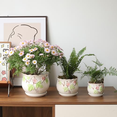 Ceramic Plant Pots with Drainage Holes and Saucers, Small Planters Set of 3 - Image 2