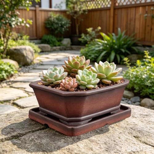 MUZHI Decorative Ceramic Bonsai Planter Pot 8.5 Inch with Tray, Breathable Unglazed Rectangle Terracotta Clay Pot for Tree Succulent Cactus Indoor Outdoor Red Brown (Corner-Cut Rectangle 8.5”) - Image 5