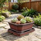 MUZHI Decorative Ceramic Bonsai Planter Pot 8.5 Inch with Tray, Breathable Unglazed Rectangle Terracotta Clay Pot for Tree Succulent Cactus Indoor Outdoor Red Brown (Corner-Cut Rectangle 8.5”) - Image 5