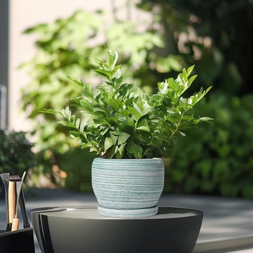 SQOWL Ceramic Plant Pots - 6 Inch Planter with Drainage Hole and Tray, Round Flower Pot for Indoor Plants, Decorative Succulent Planter Outdoor, Home House Decor, Gifts for Women Men, Green - Image 4