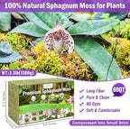 Riare 3.3LB Premium Sphagnum Moss for Plants- 60QT Natural Dried Plant Moss - Image 2