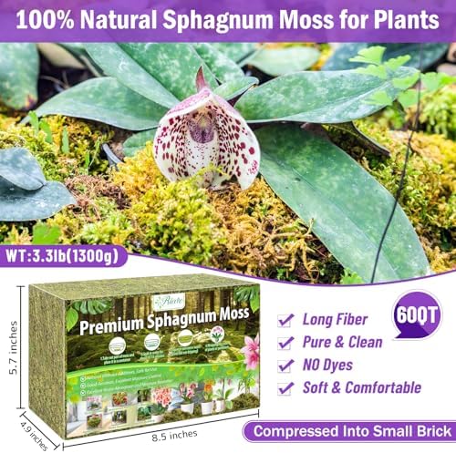 Riare 3.3LB Premium Sphagnum Moss for Plants- 60QT Natural Dried Plant Moss - Image 2