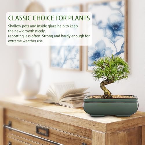 Set of 2 Large Bonsai Pots with with Drainage Hole, 8.7" Green Glazed - Image 4