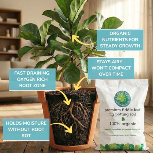 Organic Fiddle Leaf Fig Soil, Well-Draining Potting Mix, Large 7.5L Bag - Image 2