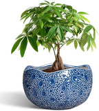 10 Inch Plant Pot, Ceramic Pots for Plants Indoor, Blue by Thirtypot