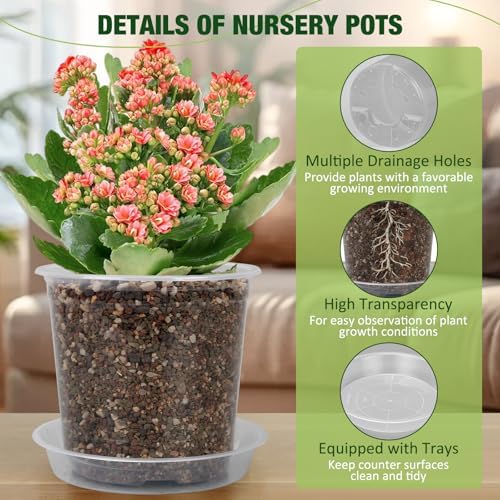 10 Inch Clear Nursery Pots with Drainage Holes and Saucers, 5 Pack Large Clear Pots for Plants Variety Pack, Seedling Pots for Succulents, Herbs, Flowers, Vegetables - Image 4