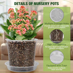 10 Inch Clear Nursery Pots with Drainage Holes and Saucers, 5 Pack Large Clear Pots for Plants Variety Pack, Seedling Pots for Succulents, Herbs, Flowers, Vegetables - Image 4