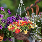 Rattan Hanging Basket Gardening Planter, Handmade Woven Willow Flower Pot with Chain, Natural Seagrass Wall Hanging Basket for Indoor Outdoor Balcony Garden Porch Decor, Stylish Group Planting，Large - Image 5