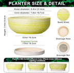 Pots for Succulents, 8 Inch Ceramic Bonsai Tree Pot, Brushed Yellow - Image 2