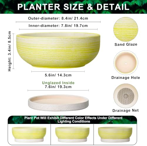 Pots for Succulents, 8 Inch Ceramic Bonsai Tree Pot, Brushed Yellow - Image 2