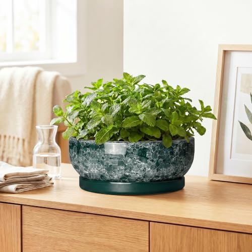 Succulent Pots Ceramic, 10 Inch Bonsai Planter, Droplet Green - Image 6