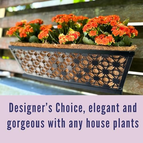 LaLaGreen Wall Planter for Plants (16 in, 4 Pack) Black Fence Window Box - Image 3