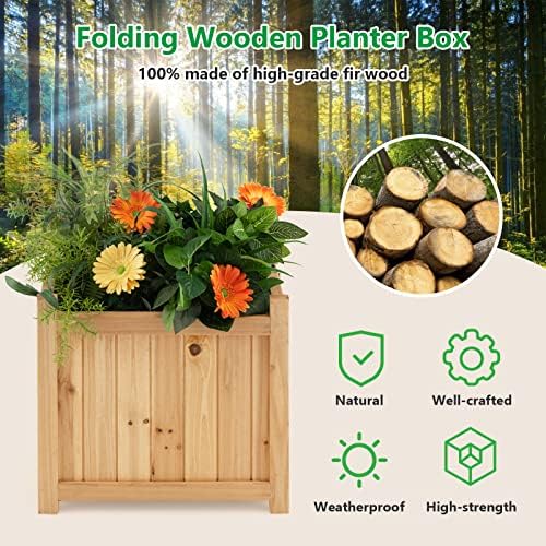 GRAFFY Raised Garden Bed, Folding Wood Planter Box w/Removable Bottom & Drainage, Indoor Outdoor Square Elevated Planter for Flower Herb Vegetable Fruit, Plant Container for Grass Lawn Patio Backyard - Image 2