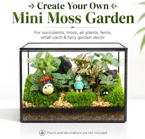 Small Glass Terrarium with Lid, Rectangle Geometric Planter Box, Clear Glass Container for Succulents, Moss, Air Plants, Ferns, Cactus, Tabletop Plant Display Decor, 6.7 x 3.9 x 4.7 in - Image 3