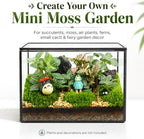 Small Glass Terrarium with Lid, Rectangle Geometric Planter Box, Clear Glass Container for Succulents, Moss, Air Plants, Ferns, Cactus, Tabletop Plant Display Decor, 6.7 x 3.9 x 4.7 in - Image 3