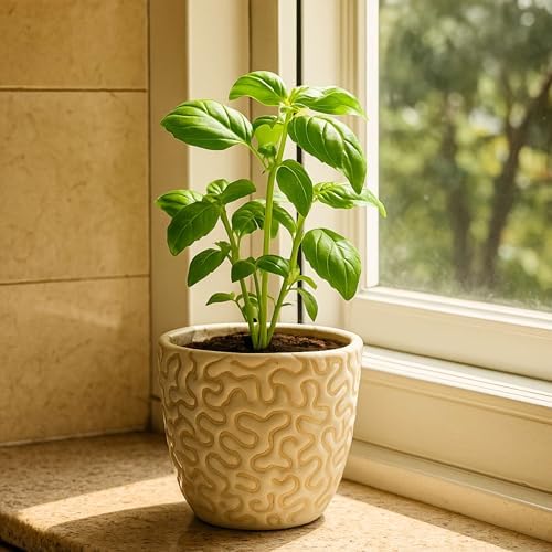 Ceramic Planter Pot with Drainage Hole, Modern Textured Indoor Plant Pot, Decorative Cream Ceramic Planter for Succulents, Herbs & Small Plants, Minimalist Stoneware Flower Pot for Home Decor Set of 3 - Image 5