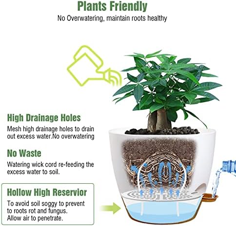 UOUZ 12inch 2Pack Large Self Watering Planters, Plastic Plant Pots with 60oZ Removable Deep Reservoir and Multi Mesh Drainage Holes for Indoor Outdoor Garden Plants and Flowers, White with Brown - Image 3