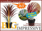 SUNPRAIRIE Hyper Realistic Big Red Artificial Aloe Vera Plant 26 Inches Tall. Large Faux Agave in Matte Black Pot. - Image 2