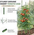 G-LEAF 6 Pack 6ft Tomato Cage for Garden Plant Support, Garden Stakes Tomato Cage, Tomato Cages Plant Stakes for Climbing Plants - Image 4