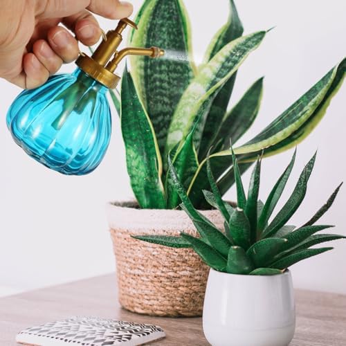Plant Watering Bottle Easy to Use Design Vintage 2pcs Glass with Spray Function for Flowers and Vegetables for Home Garden Watering and Decoration - Image 4