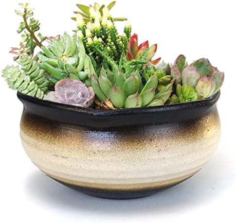 8 Inch Succulent Pot with Drainage and Saucer Glazed Terracotta Round Ceramic Succulent Planter Cactus Bonsai Plant Pot (White and Black) by SUMMERIMPRESSIONS