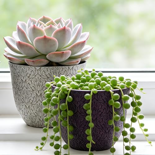 Worth Garden Plastic Round 8" Plant Pots for Indoor Plants - Set of 6 Multicolor Small Flower Pots W/Drainage Hole and Rubber Plug - Home Christmas Decorative planters Retro Floral Pattern - Image 2