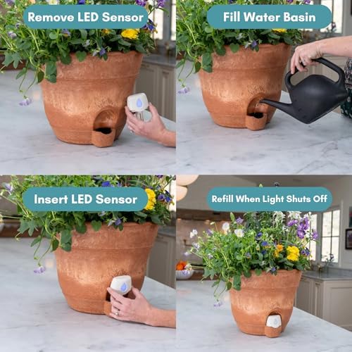 Bernini FirmaStone 15" Self-Watering Planters, Set of 2 – Durable Indoor/Outdoor Pots with Drainage Plug & Built-in Reservoir – Lightweight Garden Planters for Patio, Porch, Balcony - Image 4