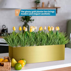 17" Large Stainless Steel Planter Box with Drain Holes and Water Reservoir, Rectangle Succulent Trough Planter Pot for Indoor Outdoor Windowsill, Table Decor (Brushed Gold) - Image 5