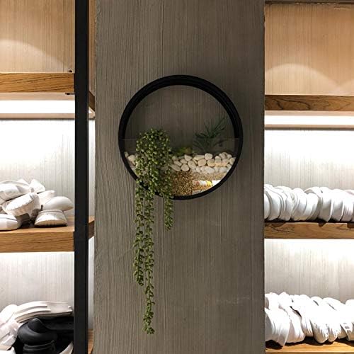 3 Pack Set Wall Planters,Modern Round Glass Wall Planter Succulent Planter Circle Iron Hanging Planter Vase for Herb,Small Cactus Perfect for Balcony, Room and Patio Decor (Black) - Image 4