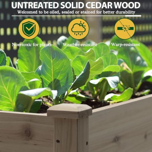 BlueWish 72''L x 23''W x 30''H Raised Garden Bed Outdoor, 2x6 FT Cedar Garden Bed with 8 Drainage Holes & 6 Legs, Elevated Planter Boxes for Gardening, Vegetable, Flower, 661lbs Capacity, Brown - Image 4