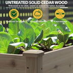 BlueWish 72''L x 23''W x 30''H Raised Garden Bed Outdoor, 2x6 FT Cedar Garden Bed with 8 Drainage Holes & 6 Legs, Elevated Planter Boxes for Gardening, Vegetable, Flower, 661lbs Capacity, Brown - Image 4