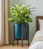 D'vine Dev Ceramic Pot with Walnut Wood Stand, Teal, 12 in, 55-B-W-4 - Image 7
