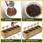 Bonsai Tree Starter Kit - Indoor Live House Plants - 5 Bonsai Tree - Image 6