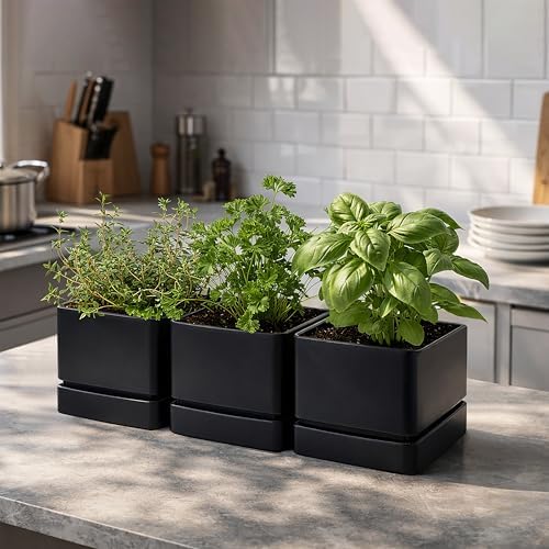 D'vine Dev 3-Pack Plastic Herb Planter Pots, 6 in, Black, 76-Y-B3-2 - Image 2