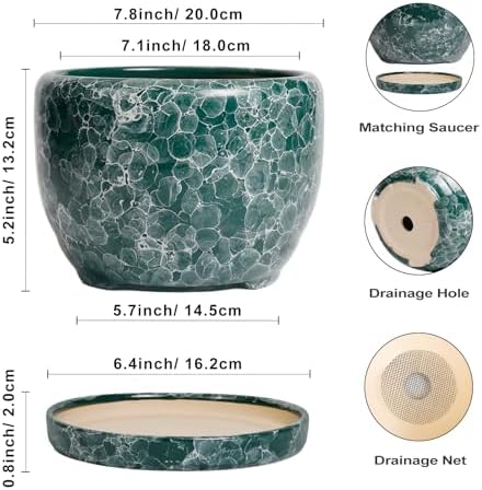 SQOWL 8 Inch Plant Pot - Ceramic Planter for Indoor Plants, Decorative Flower Pot with Drainage Hole and Saucer, Round Planter Outdoor, Room Patio Decor, Garden Gifts for Women, Green - Image 3