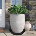 3 Pack of 25 26 inch Plant Saucer (22.7 Inch Base), 4.2" Depth, Large Deep Heavy Duty Plastic Flower Planter Water Trays for Indoors Outdoor, Plant Potted Bowl, Plant Drip Trays (26", Black) - Image 4