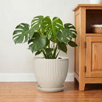 Ceramic Plant Pots, 10 Inch Pots for Plants with Saucer, Cream White - Image 6