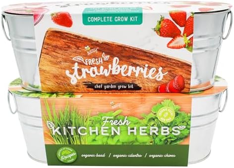 Buzzy Seeds Windowsill Grow Kit 2-Pack, Metal Planter, Strawberry & Herbs by BUZZY