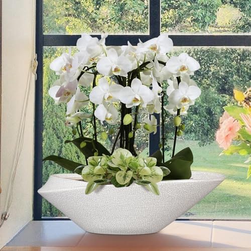 Bonsai Pots - 18 Inch Ceramic Plant Pot for Bonsai Tree, Modern Indoor & Outdoor Succulent Planter with Drainage, Room Decor, Gifts for Plant Lovers, White-Black - Image 4