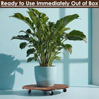 Novabright 1 Wooden Plant Caddy with Wheels, 25 Inch Rolling Stand - Image 6
