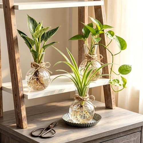 10 Pack Glass Plant Propagation Stations, Plant Terrarium Bulb Glass Propagation Vases with Hemp Rope, Clear Hydroponics Jars Gardening Gifts for Home Office Desk Decoration - Image 4