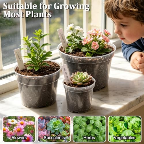 RooTrimmer 15 Pack 8/6/4 Inch Clear Nursery Pots with Drainage Hole, Transparent Plastic Plant pots, Sturdy Planting Starter Pots for Seedlings Herbs Flowers Vegetable (Clear-15P) - Image 6