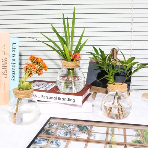 Plant Propagation Station,Hydroponic Terrarium Vase,Desktop Glass Planter Station,for Houses,Garden Decorations,ropagating Hydroponic Plants,Centerpiece Office,Home Garden Decor (9) - Image 5