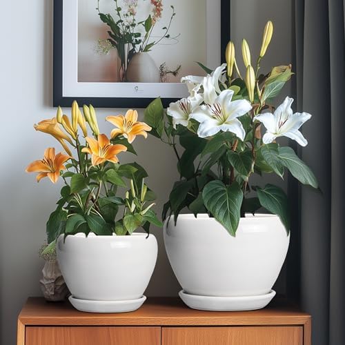 10+8+6 Inch Ceramic Planter, Ceramic Pots for Plants Indoor, White - Image 4
