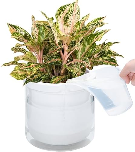 D'vine Dev Self-Watering White Terracotta Planter Pot, 8 in, 37-X-C-2 - Image 7