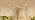 GLOWRIUM Tall Plant Grow Light for Indoor Plants, Full Spectrum Plant Light - Image 7