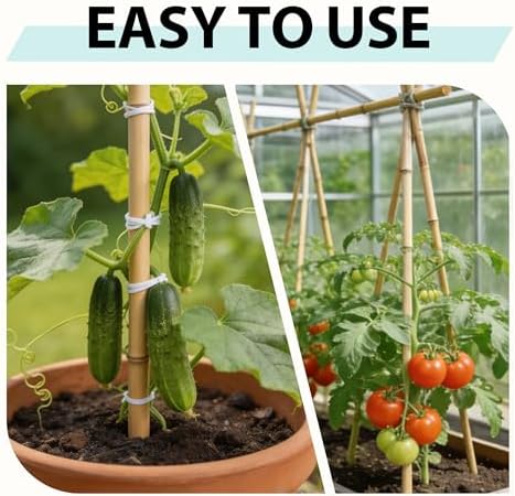 Bamboo Stakes 7FT, 15pcs Garden Stakes Specifically Designed for Climbing Plants, Ideal for Tomatoes, Beans, Cucumbers, Peppers, Vines, and More Plant Growth - Image 6